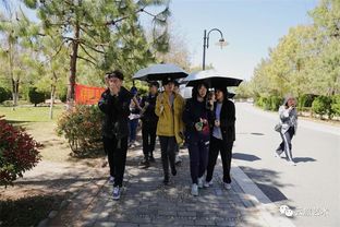 川美手工藝術(shù)學(xué)院與藝術(shù)設(shè)計(jì)學(xué)院課程研討交流會(huì)策劃方案